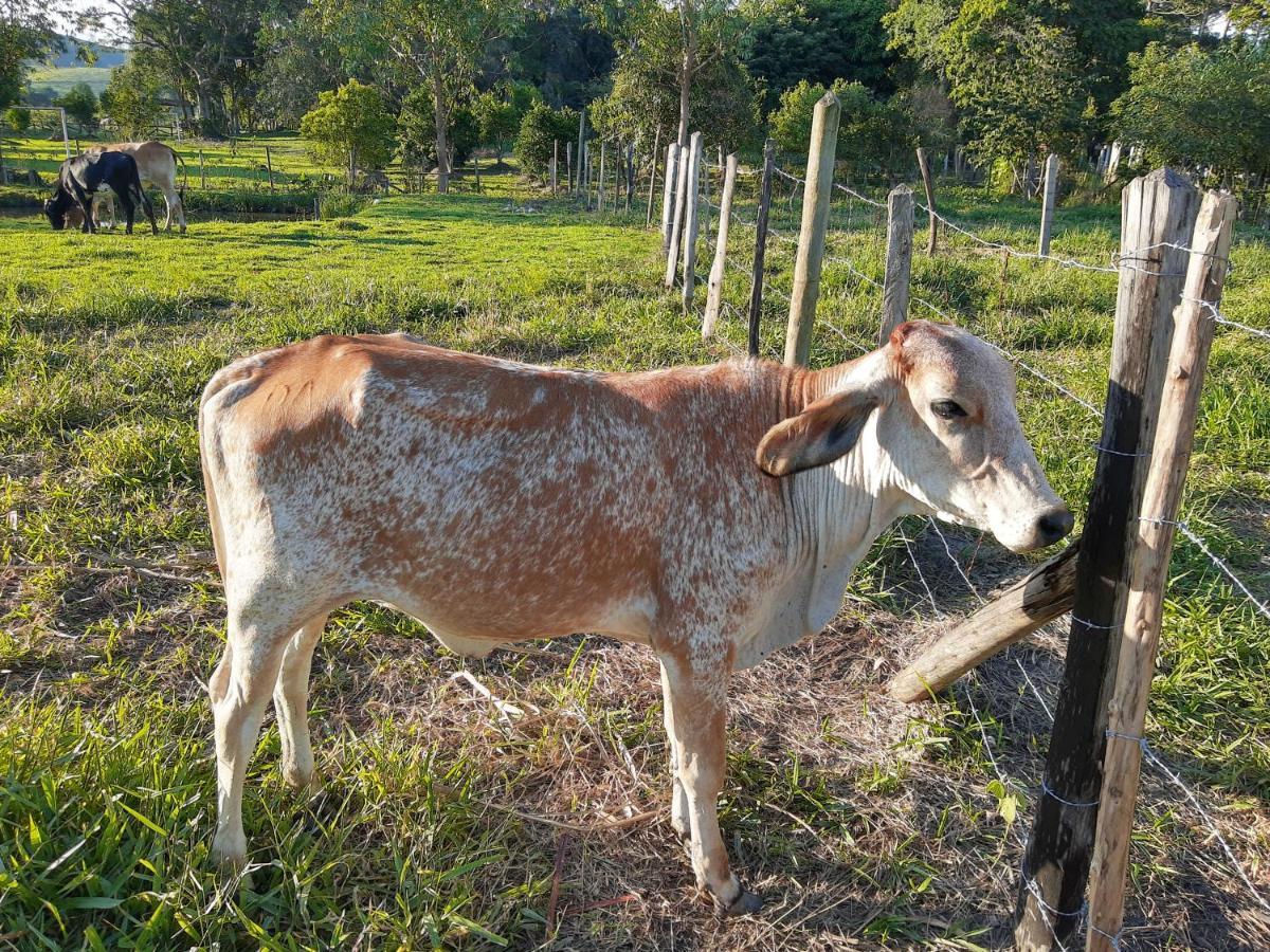 Pousada Roseira Lagoinha Sp Luaran gambar